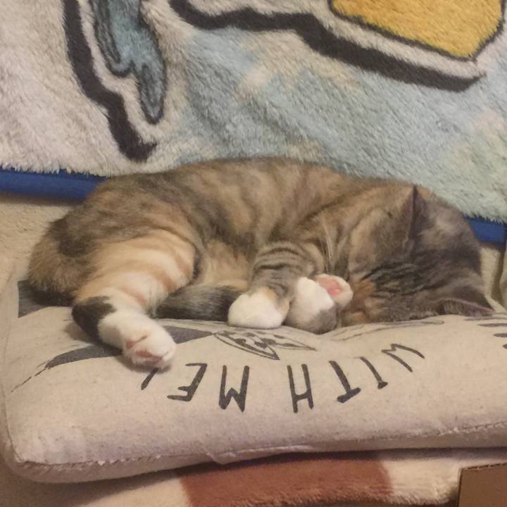 Ff5ea94c 80a0 4aa1 aeac 7d1df161b3fe 1572347074322