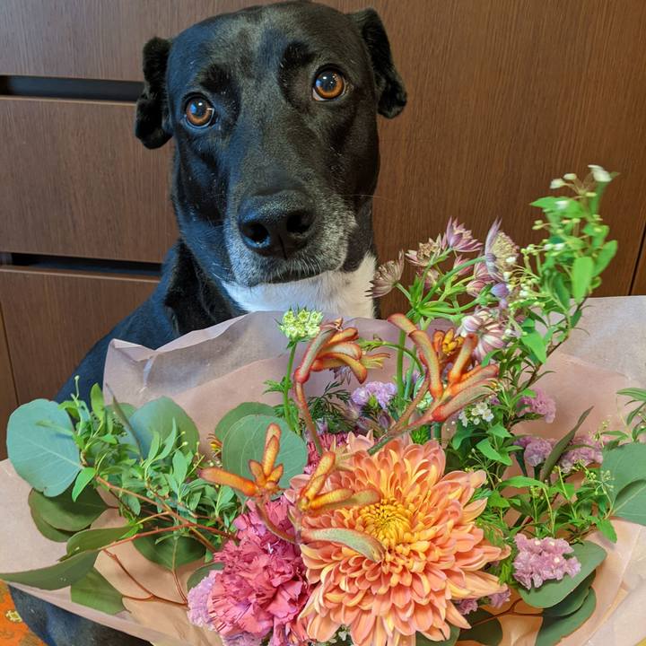 Ff5eb400 b90d 4291 86f1 306f29020305 1649934411642