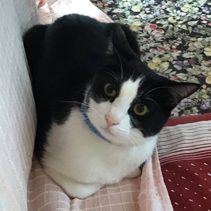 Ff5eb735 db3e 4f73 95df b6e947c7d16d 1681636320991