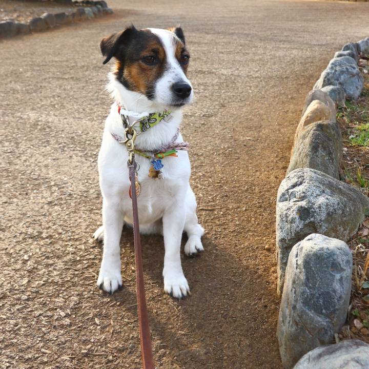 Ff5ebe4c 7d13 473c 8856 21702b19681b 1549337581262