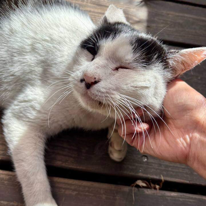 Ff5efcbb 305d 4c8d b873 1f0942b23a86 1775467187580