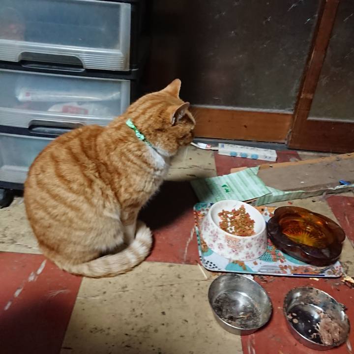 Ff5f2def bd57 4300 bbc5 b47ae7c378ad 1579896672304