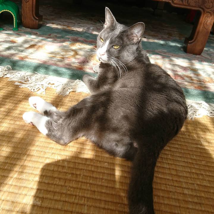 Ff5f3347 801e 46f4 a69e 7d59d887a752 1509708538447