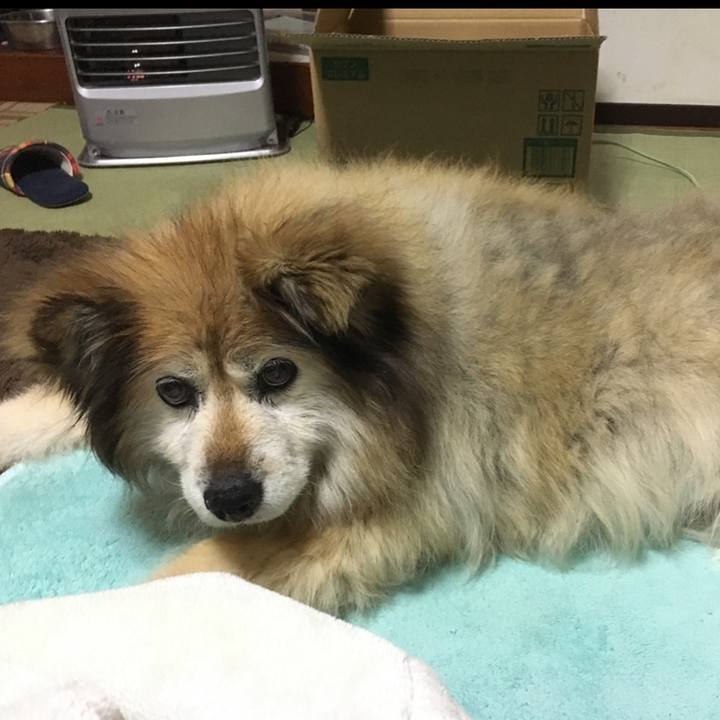 Ff5f5ce2 3744 493f 9171 8900a7352687 1597931781160