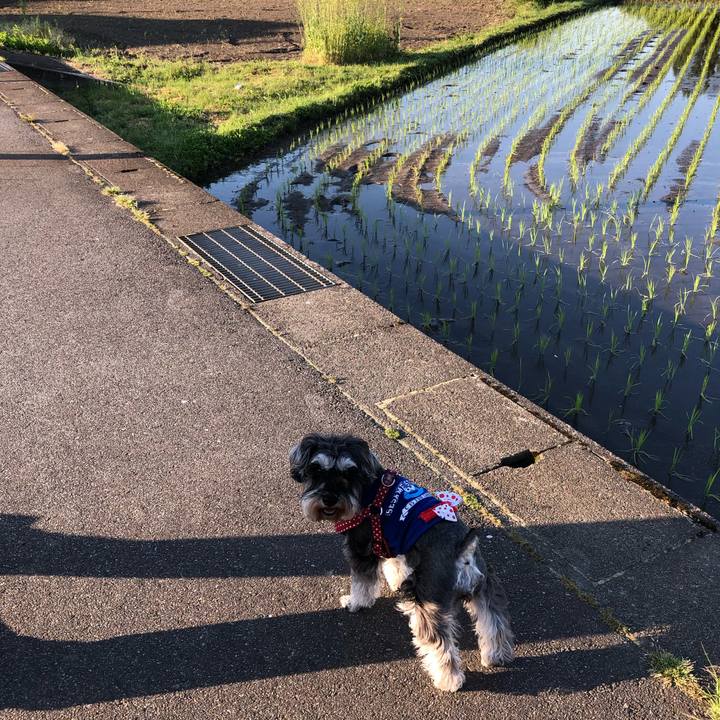 Ff5f60a1 f26f 404e 9ef9 3c55d48f3648 1558743726412