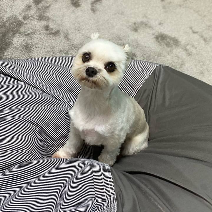 Ff5f832e fbff 4367 b990 ad61b9830a92 1601554902835