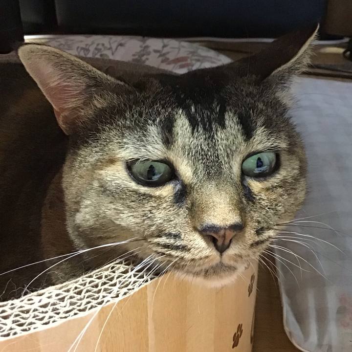 Ff5f8ba5 959e 4c01 a8e5 99b951608d1d 1721905979945