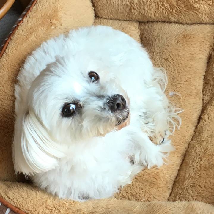 Ff5fb42c 21e1 4f5b 8f55 85a1552173f9 1587731386582