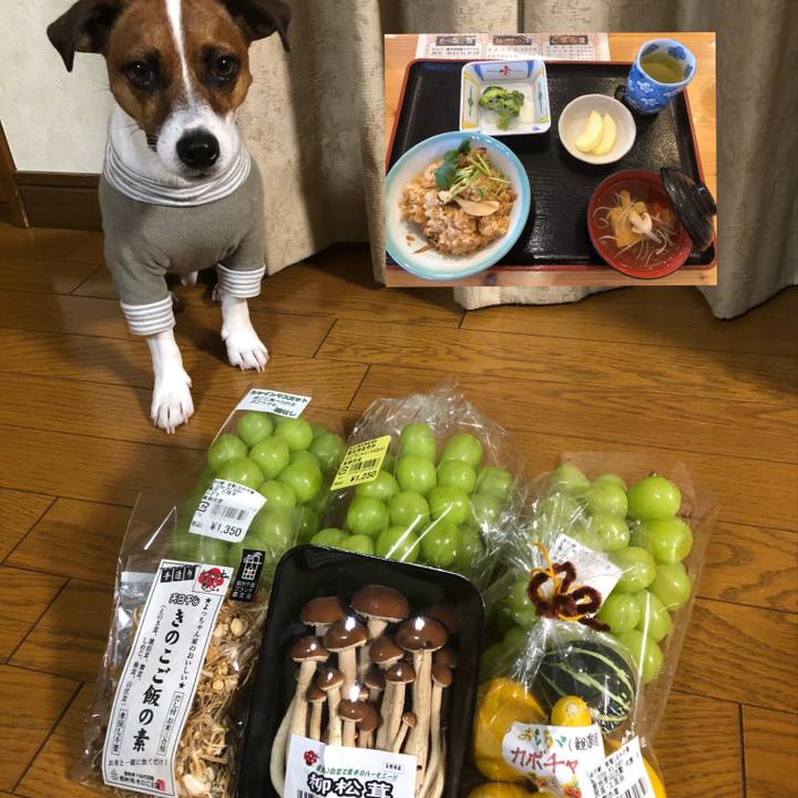 Ff5fd0d2 6509 4aee b91d 90db94bcb1d3 1570706304275