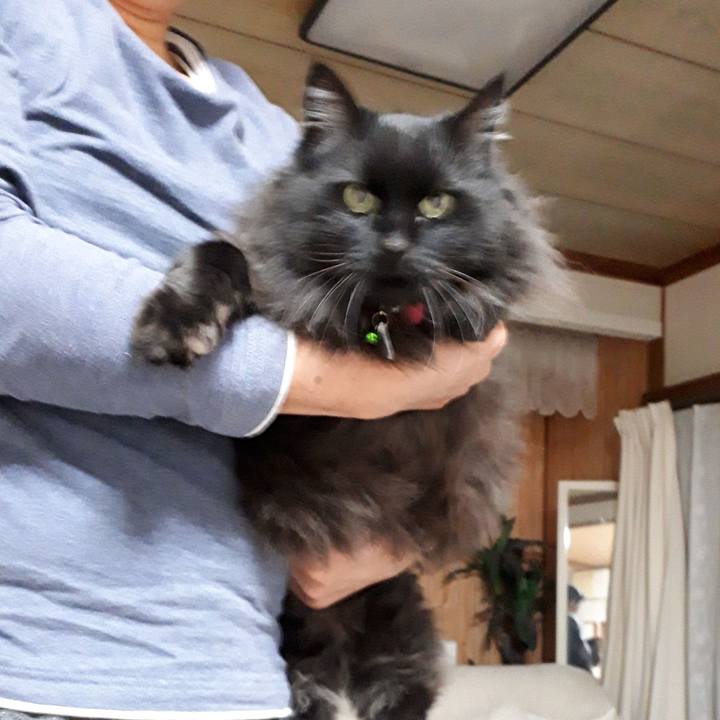 Ff6005ec 6ecd 46ef b88c 54c84cca0f82 1524394796767