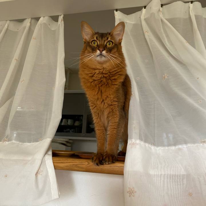 Ff6010fc 6723 447a 8517 ba375762a811 1665130423614