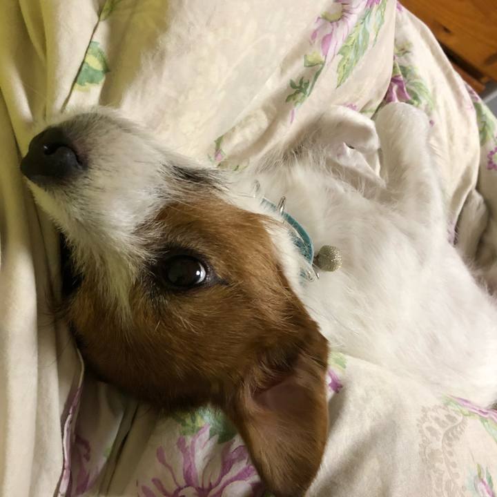 Ff602847 c9eb 4571 9add 05a3e139346b 1555847892456