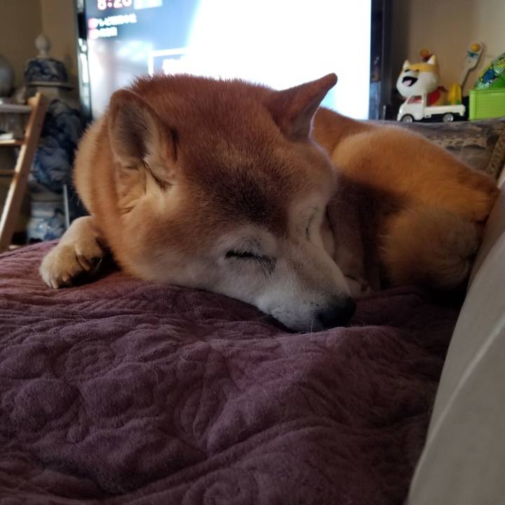 Ff604aa9 9f04 4e8c 8084 5a760a7e2074 1734564055486