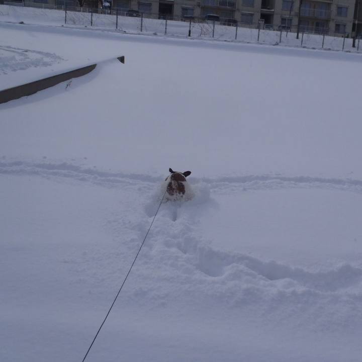 Ff6081df 8f4d 4794 af19 a2aec577f2fd 1517131398656