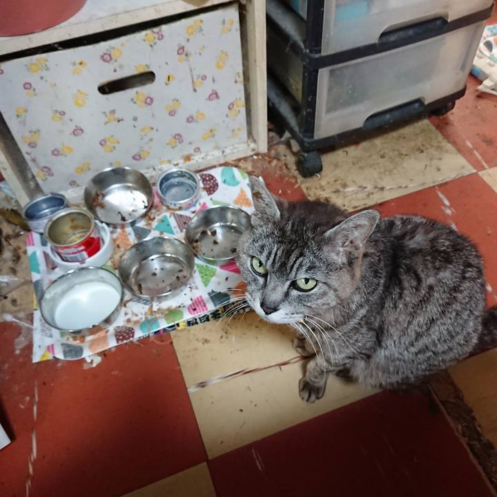 Ff60b0b5 8961 4d7b a928 0ba3fa5029ed 1592258427211