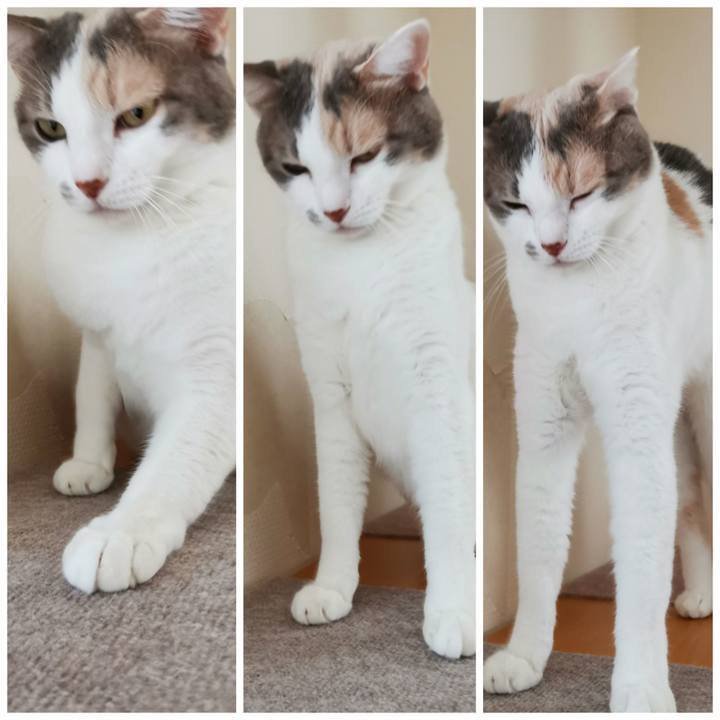 Ff60c794 b832 4740 acb5 215f0938d0c3 1630309829363