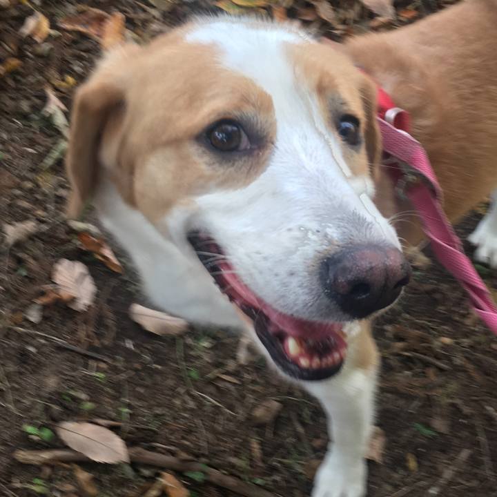 Ff60dfd0 4f0e 4a2c 87d4 ac11bc3a937c 1510453946701