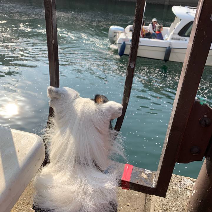 Ff60e385 18a8 441a 80fa cc9c8884e971 1554552049323