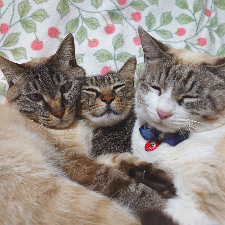 Ff612d5f 62fa 40e9 99e6 304504114832 1616505996822