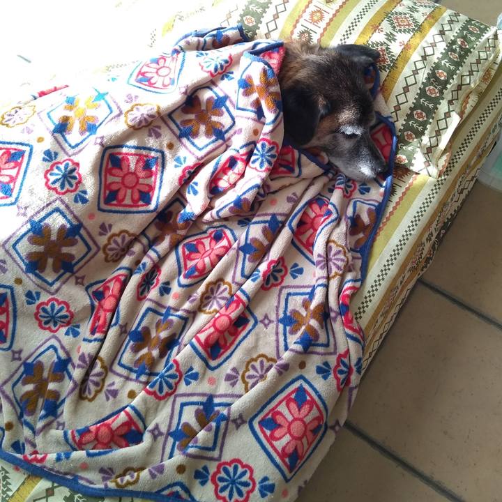 Ff6145d7 1de8 41bc 9744 b075098977b5 1573019459640