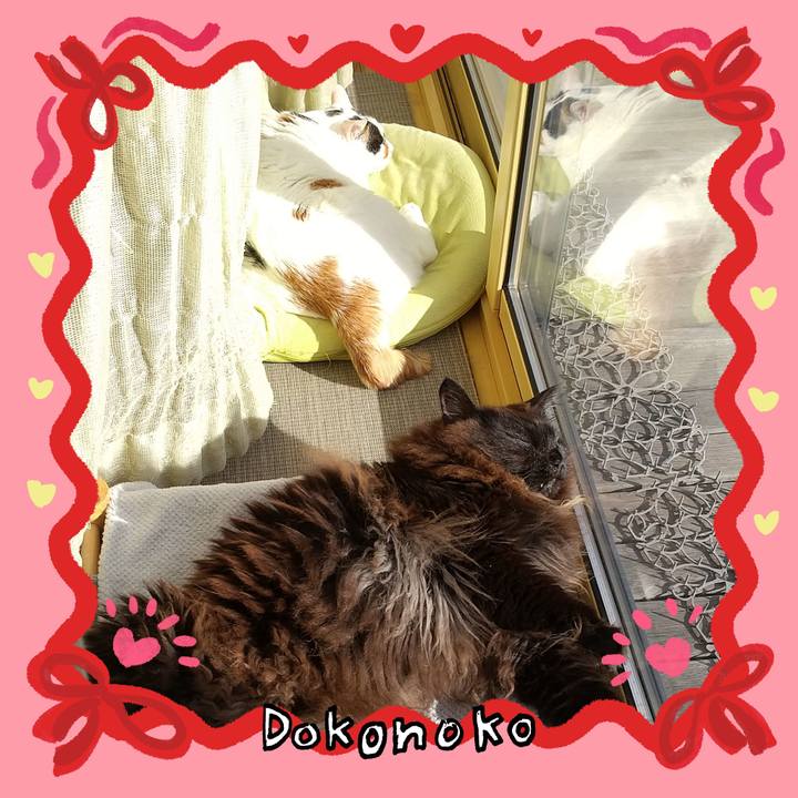 Ff6149ad 3009 44f6 b39b 7d9c4b994f84 1706937445073