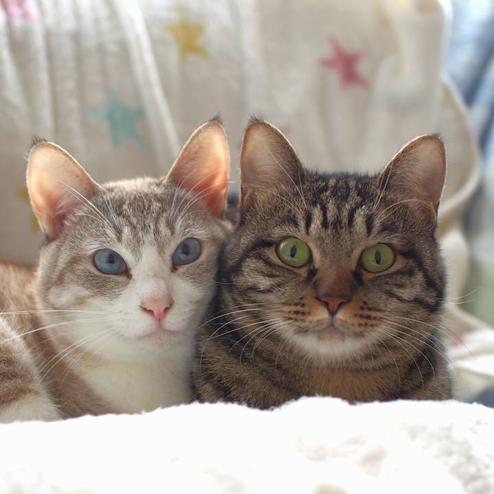 Ff616f74 2b5e 46a5 9984 084faa7919d9 1544844616809