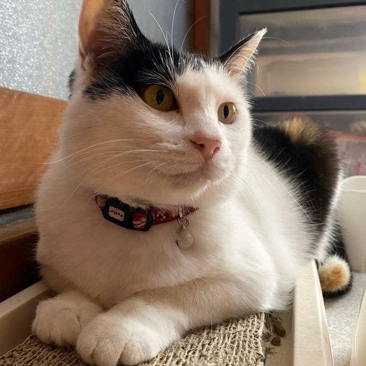 Ff61724b b5e2 46db a3ef 12a5b481e07e 1654161756136