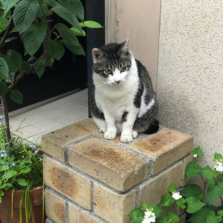 Ff61877f 7477 4a2a 907d 40f5eb867bbb 1590648599979