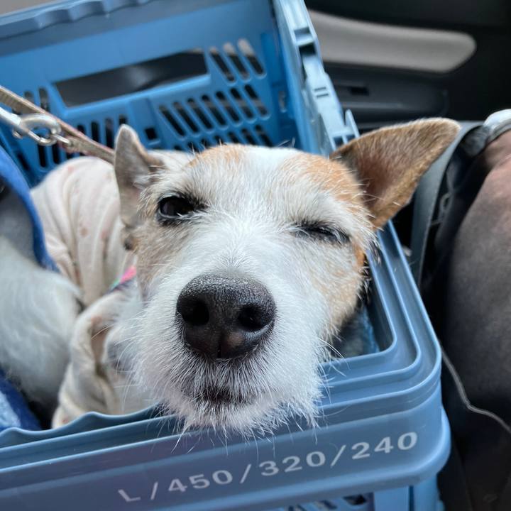 Ff61ce58 fe47 4ce1 8d7d f94193a287b7 1710634275103