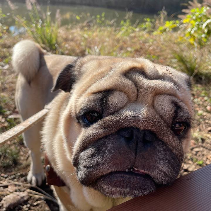 Ff61d02d 24b4 452a bb0e 55cb872662bf 1667913893242