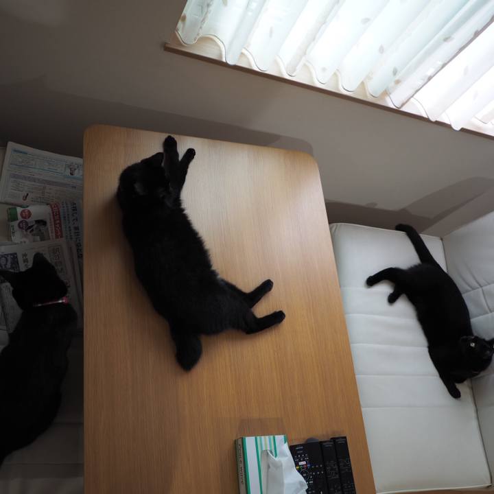 Ff61d9a9 8299 4104 bfef f71322d45e4c 1536102045732