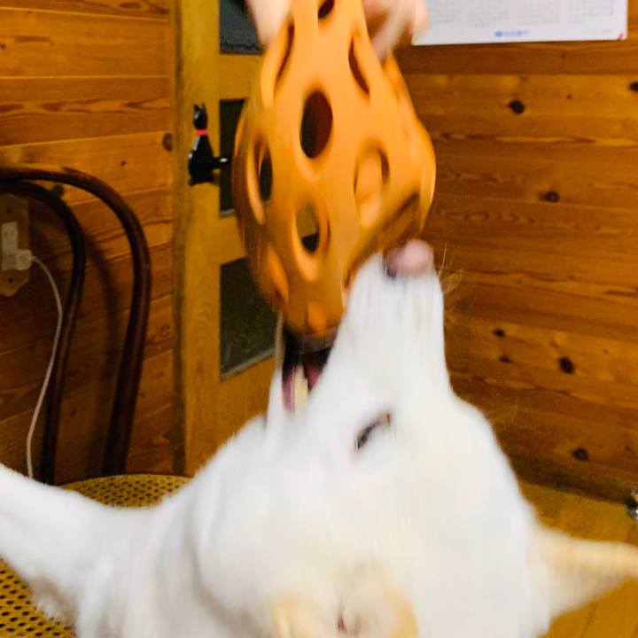 Ff61f0c1 8a03 4940 a72b 3eb714cdea5c 1576626023851