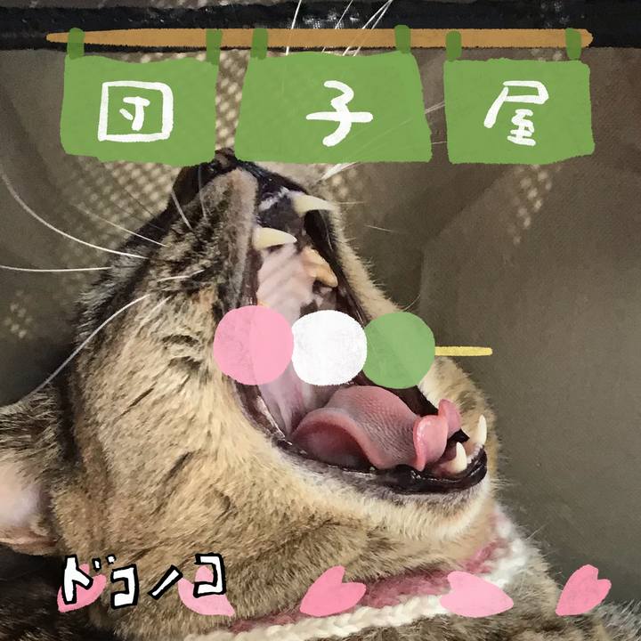 Ff620b76 ebc8 450c bbd8 bbd15b8c25d6 1712395410210