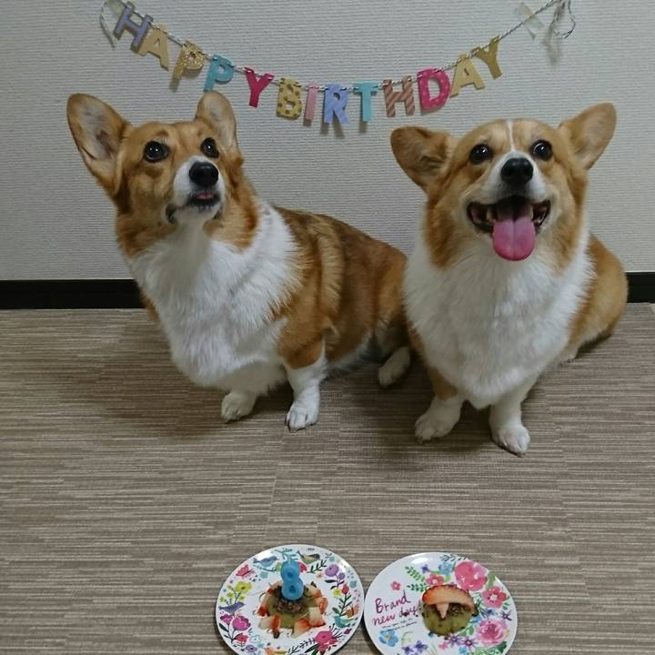 Ff626a4f 4567 4e3c 949e 03d4236f2504 1551694522860