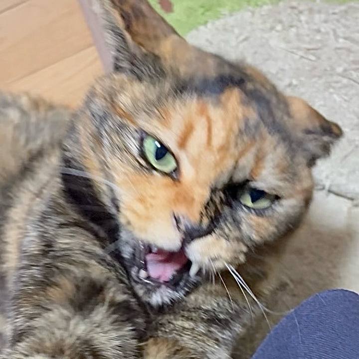 Ff6279a7 c7b6 495c 877f 24e74c182aa3 1763412956270