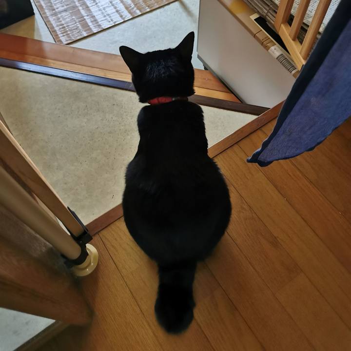 Ff62a1ec f1b4 4319 8b14 a2aec3a509b0 1657854753085