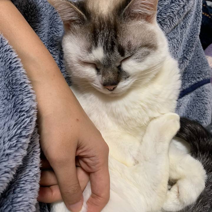 Ff62c37a 7971 45c4 ac0a 205134ac3891 1579528279062