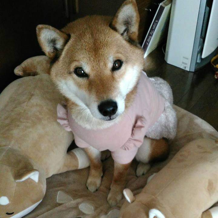 Ff62f0a7 adce 4901 8a2b fc6a3528da5e 1517039864997