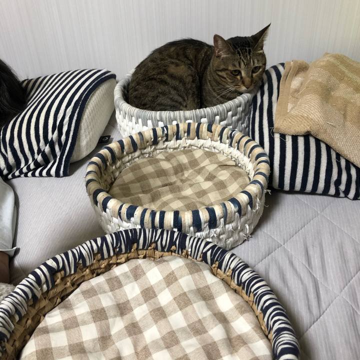 Ff63394c 953f 4ab8 a26c 55ded1dd63c8 1599493465899