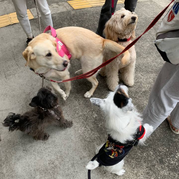 Ff63396b a4fb 4982 903c 345f116b77fe 1748334959196