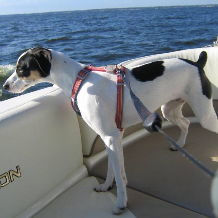 Ff635289 6c80 4fb9 9a2a 26177c952be6 1570745320538