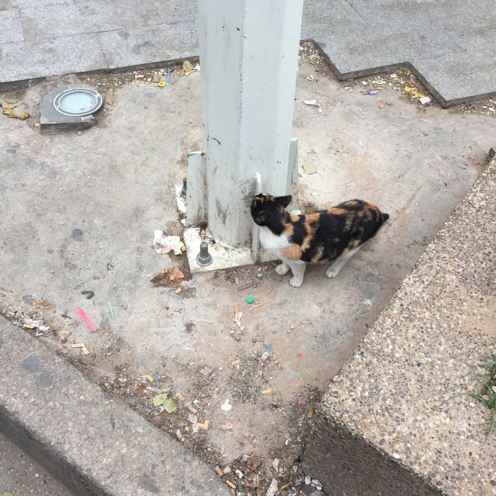 Ff6381e3 a714 44c3 bf46 a102ef7e01e6 1524519662584