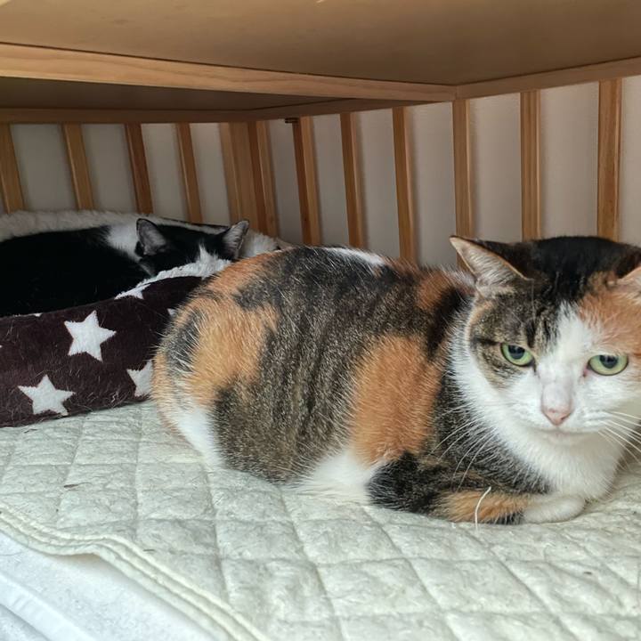 Ff63d510 1211 473b 91ec 52d16c0a26d5 1674615147284