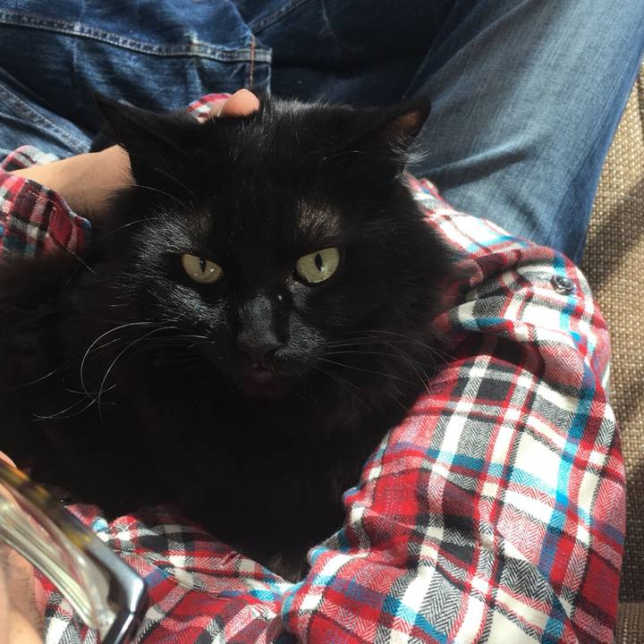 Ff63ee40 b229 4d0d 8953 d64edf61d1a1 1518837758746