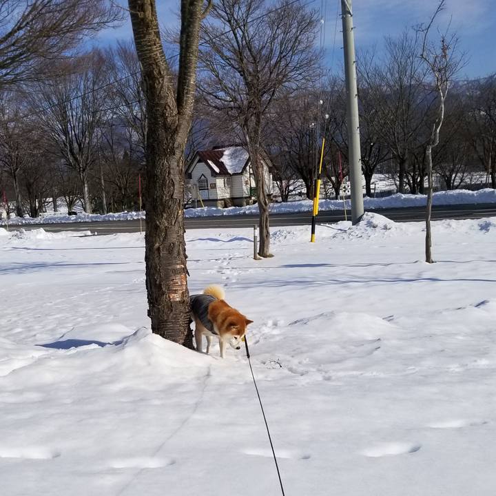 Ff640e52 f325 4b97 a102 d3b414191a71 1640319289721