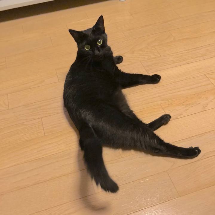 Ff642729 90f3 4aa1 b438 6c51e5a16b34 1539180334874