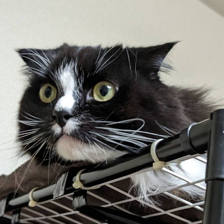 Ff6453b5 a880 489b 863b f017e7ea9c17 1705324818910