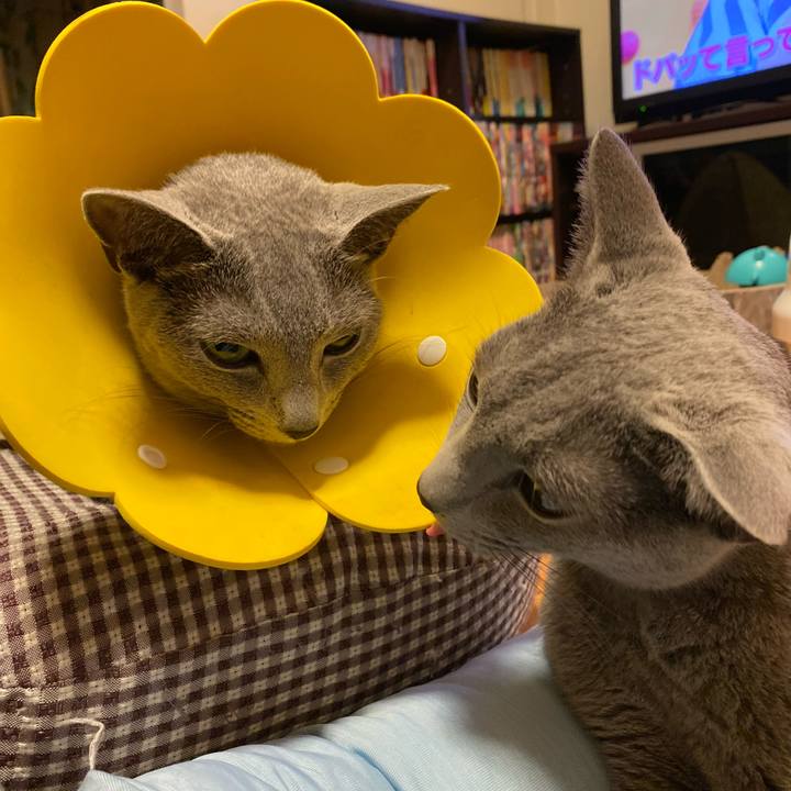 Ff645968 5708 447e bc19 25c6d9f97069 1631229416140