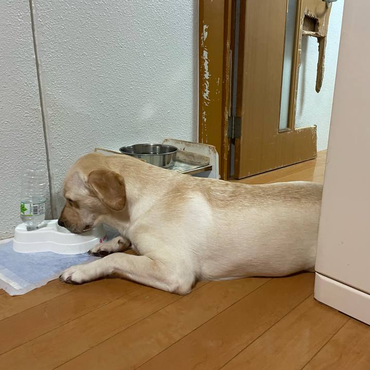 Ff64a312 a975 4fc0 a8f7 fccca216eac1 1659909239441