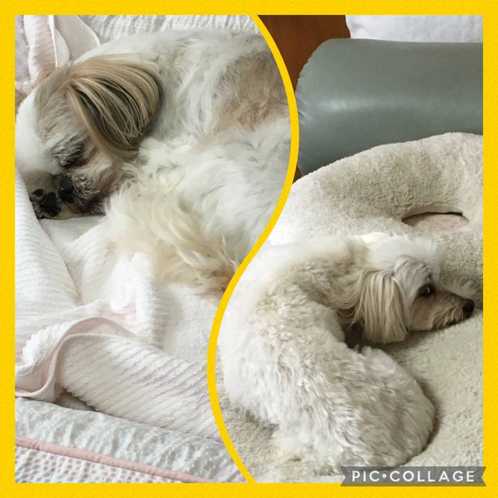 Ff64b3f5 5a95 47e4 a160 2710a6f181a3 1624093492804